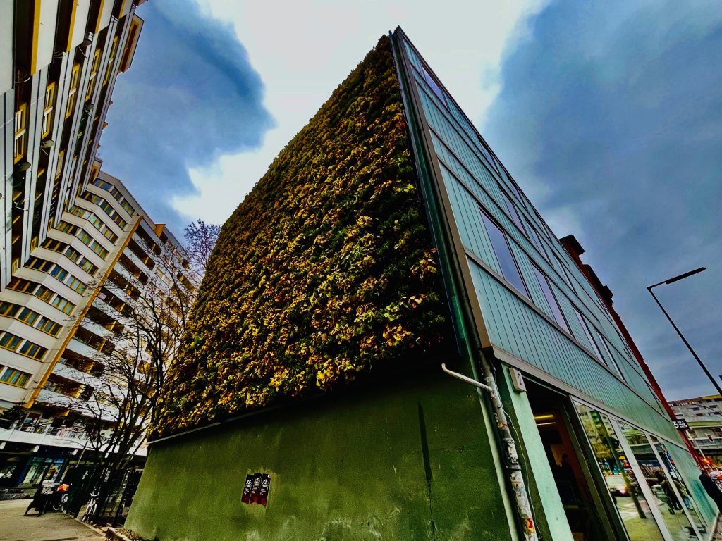 Schrägansicht der Bibliothek mit der neuen grünen Fassade. Foto QM.