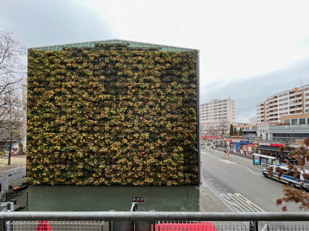 Die gesamte Seitenfront wurde begrünt. Foto QM.