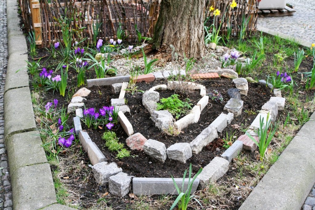 Baumscheibe im Frühling. Foto: Andrei Schnell